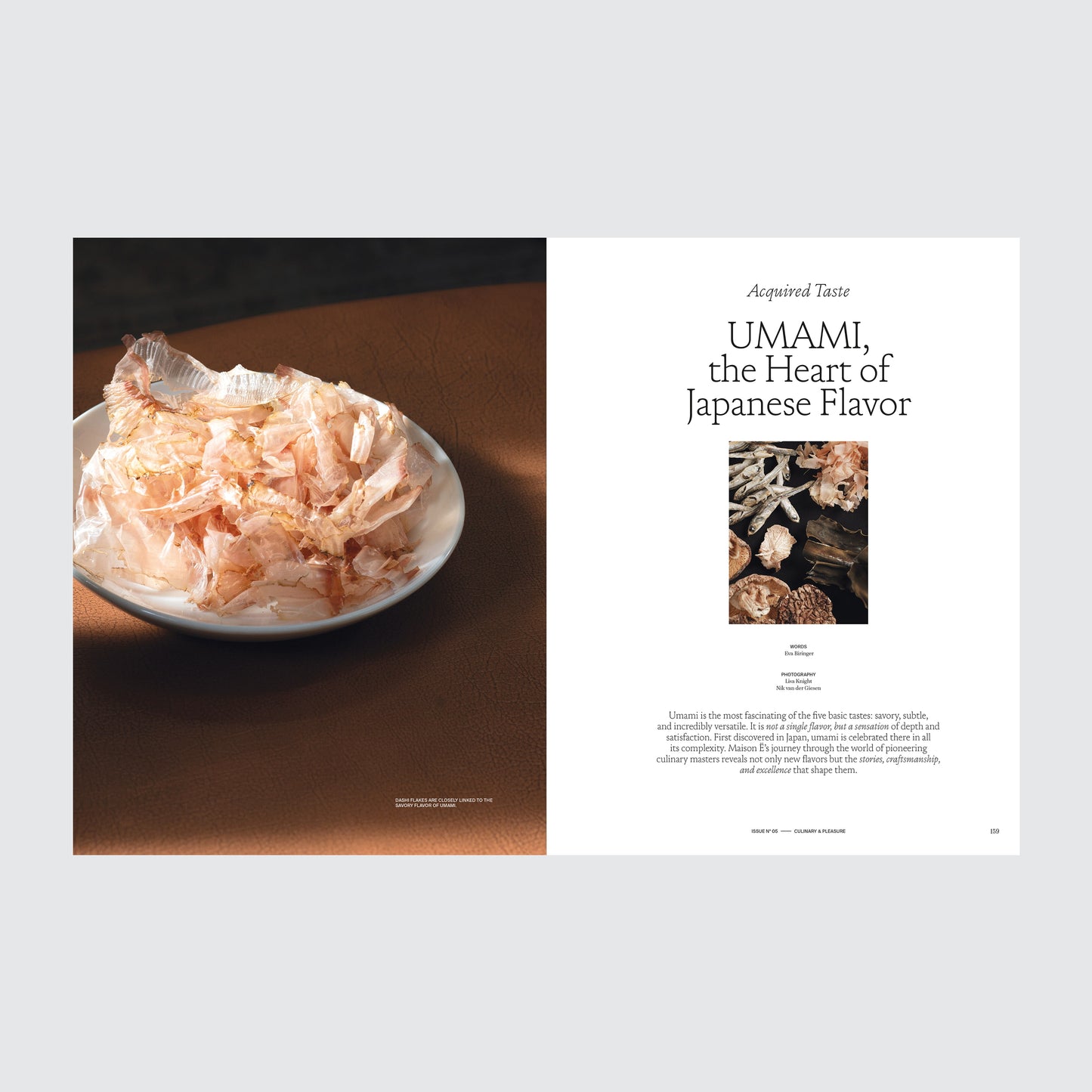Maison E Issue Nr 5 Doppelseite 03